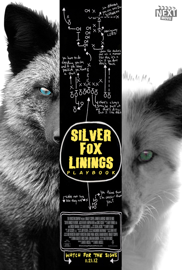 Silver-Fox-Linings