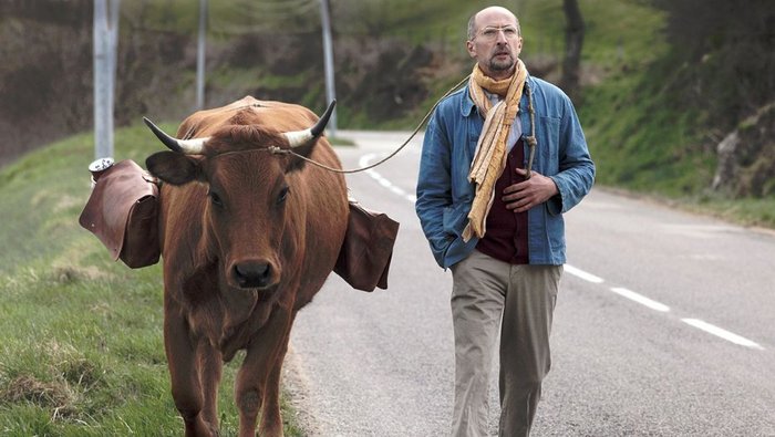 One Man and His Cow 01